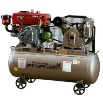 Máy nén khí đầu nổ PEGASUS TM-W-2.0/12.5-500L