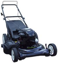 Máy Cắt cỏ PL-CC5.5HP