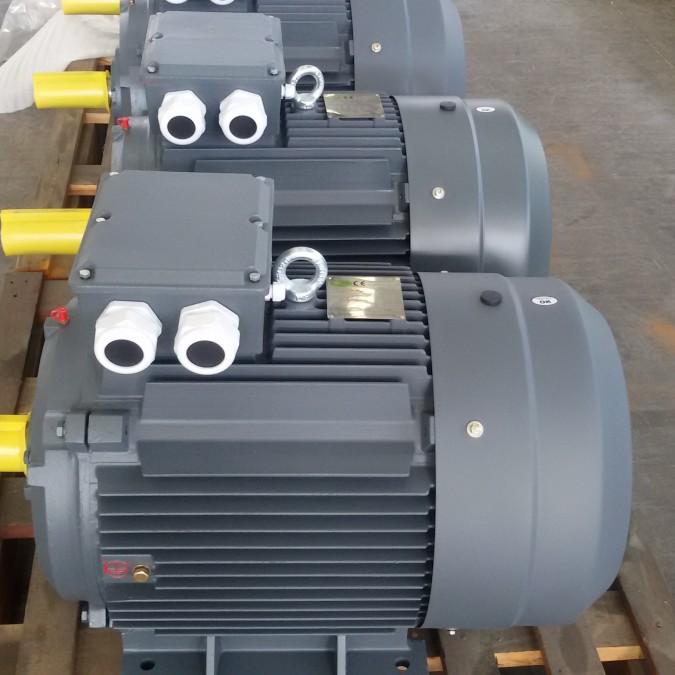 MOTOR ĐIỆN QM 